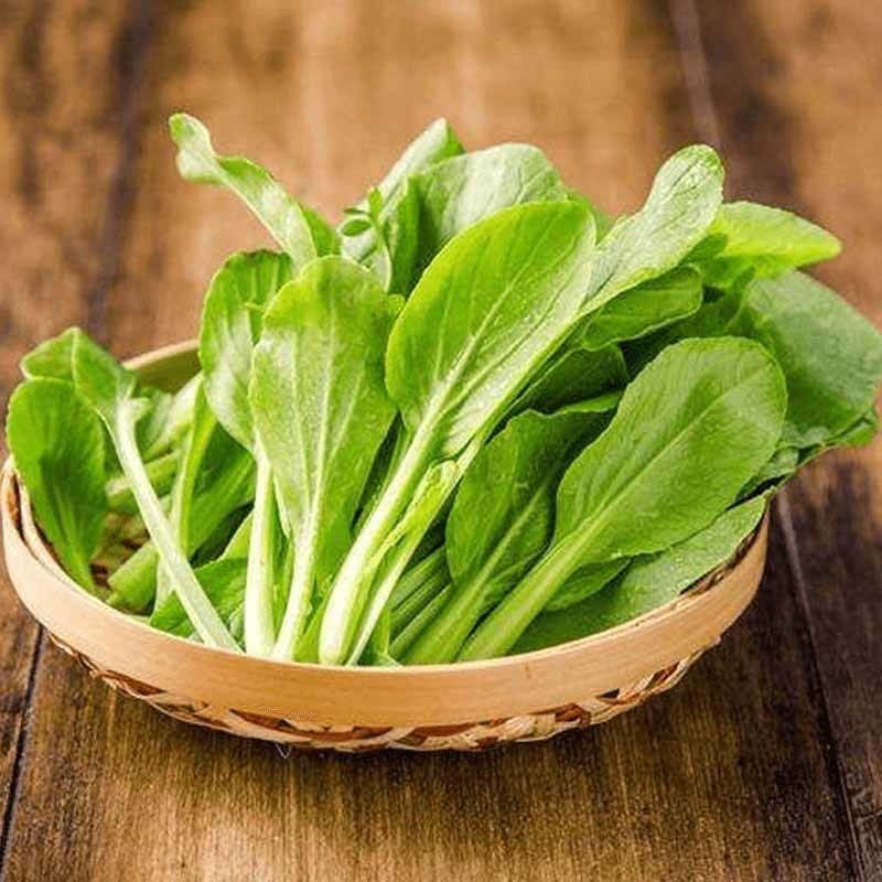 南通食材批发